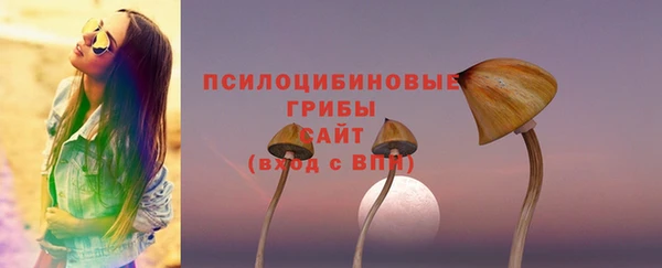 бутират Нефтекумск