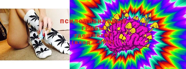 мескалин Лабытнанги
